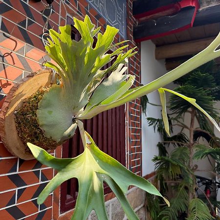 Grace Homestay Jincheng Exteriör bild