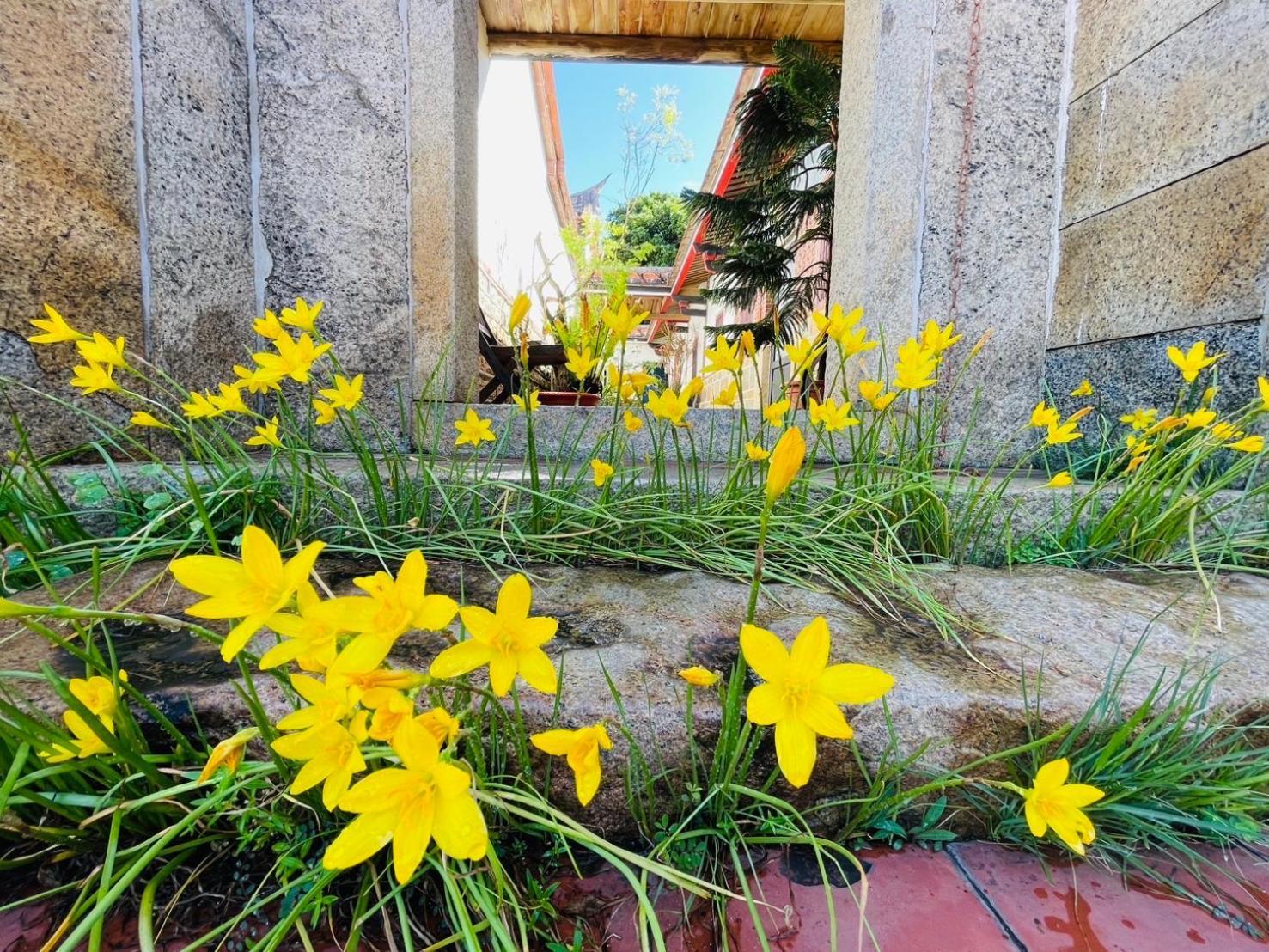 Grace Homestay Jincheng Exteriör bild