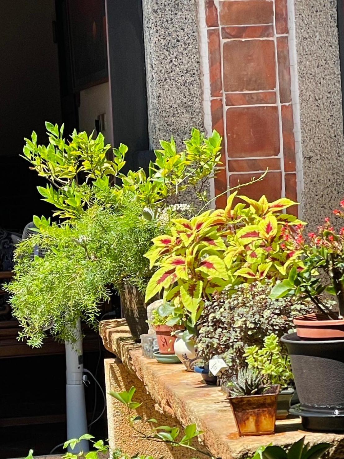 Grace Homestay Jincheng Exteriör bild